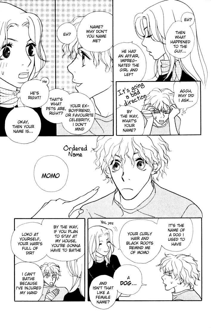 Kimi Wa Pet Chapter 1 page 17 - Chapter 1 : How to Raise a Bishounen