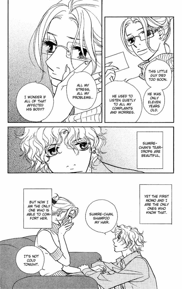 Kimi Wa Pet Chapter 17 page 12 - Chapter 17 : What Does It Look Like?