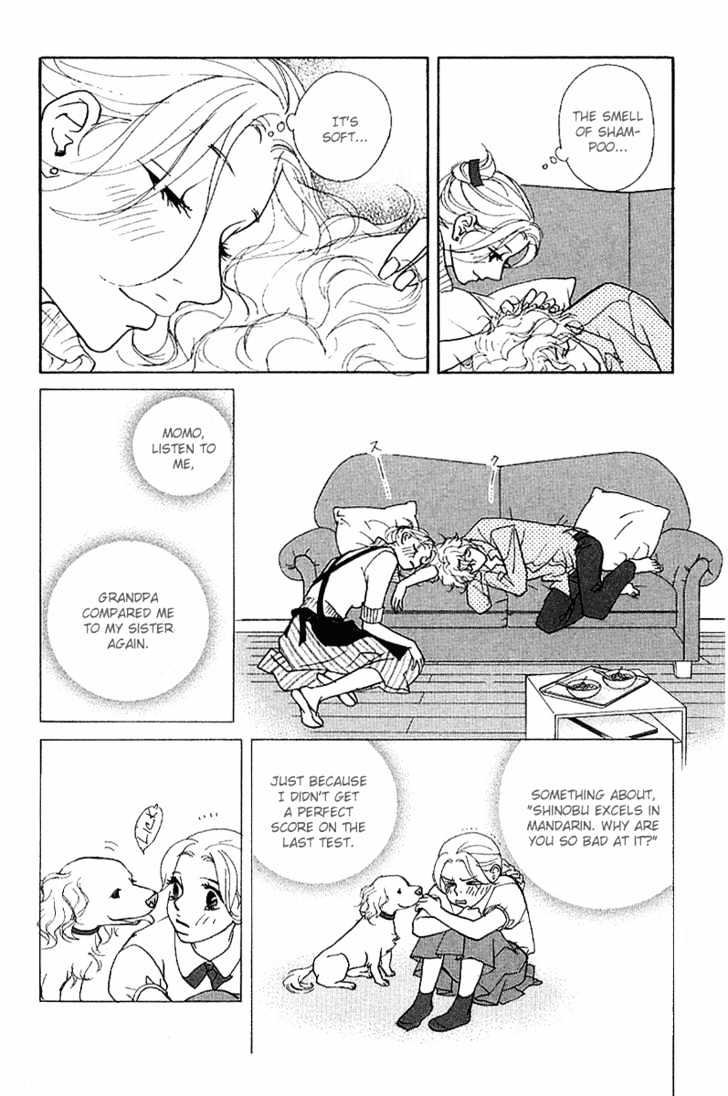 Kimi Wa Pet Chapter 17 page 14 - Chapter 17 : What Does It Look Like?