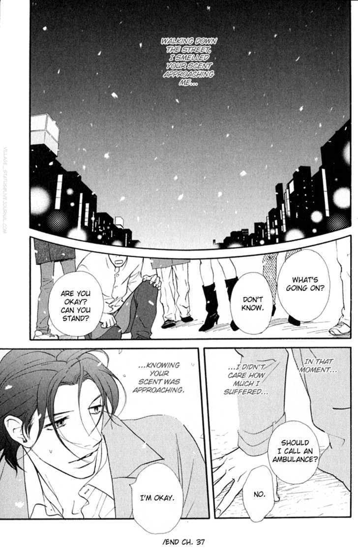 Kimi Wa Pet Chapter 37 page 29 - Chapter 37 : Her Amazing Makeover