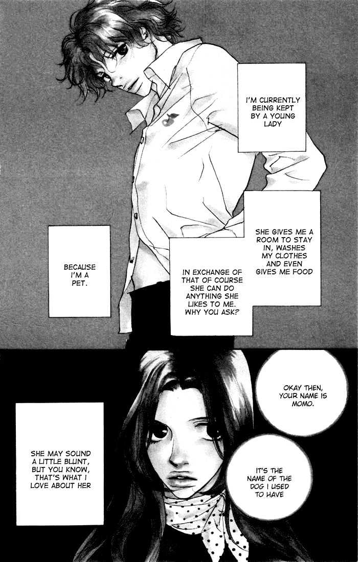 Kimi Wa Pet Chapter 5 page 6 - Chapter 5 : How to Spend Your Christmas Eve