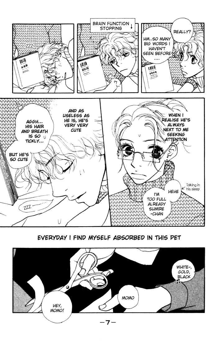 Kimi Wa Pet Chapter 5 page 9 - Chapter 5 : How to Spend Your Christmas Eve