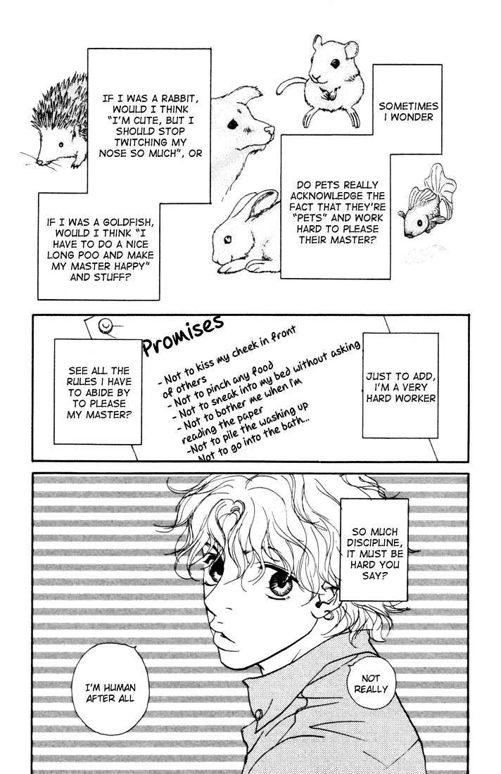 Kimi Wa Pet Chapter 8 page 4 - Chapter 8 : I'll Discipline You