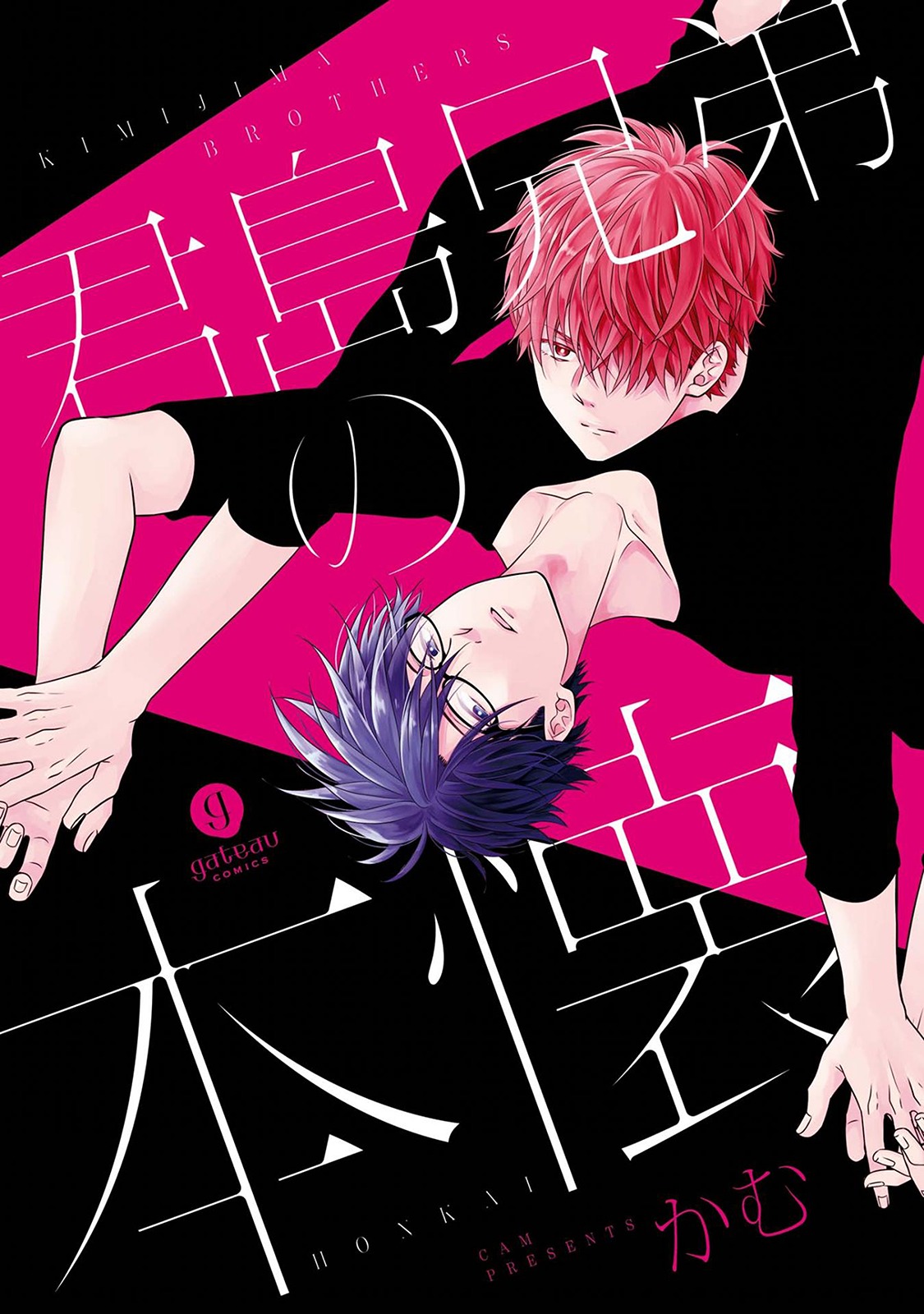 Kimijima Kyoudai no Honkai Chapter 1 page 2 - Chapter 1