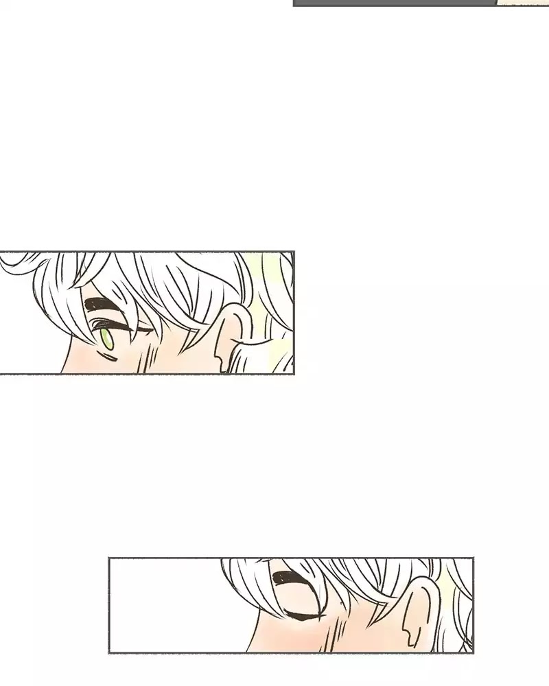Kind of Confidential Chapter 56 page 5 - Chapter 56: Ep.48: Illusions (+announcement!)