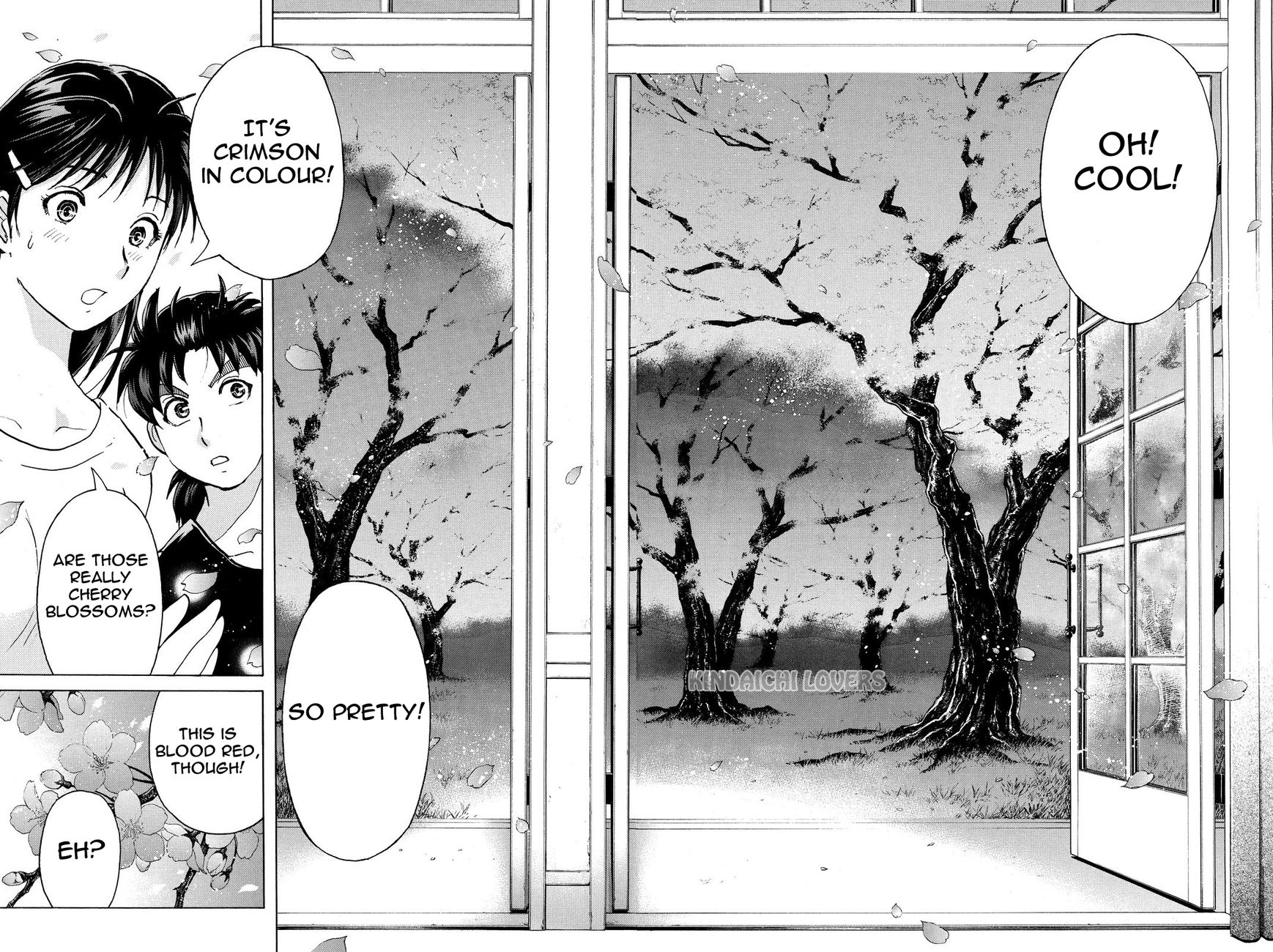 Kindaichi Shounen no Jikenbo R Chapter 50 page 20 - Chapter 50 : Bloodthirsty Cherry Blossom Murder Case 1