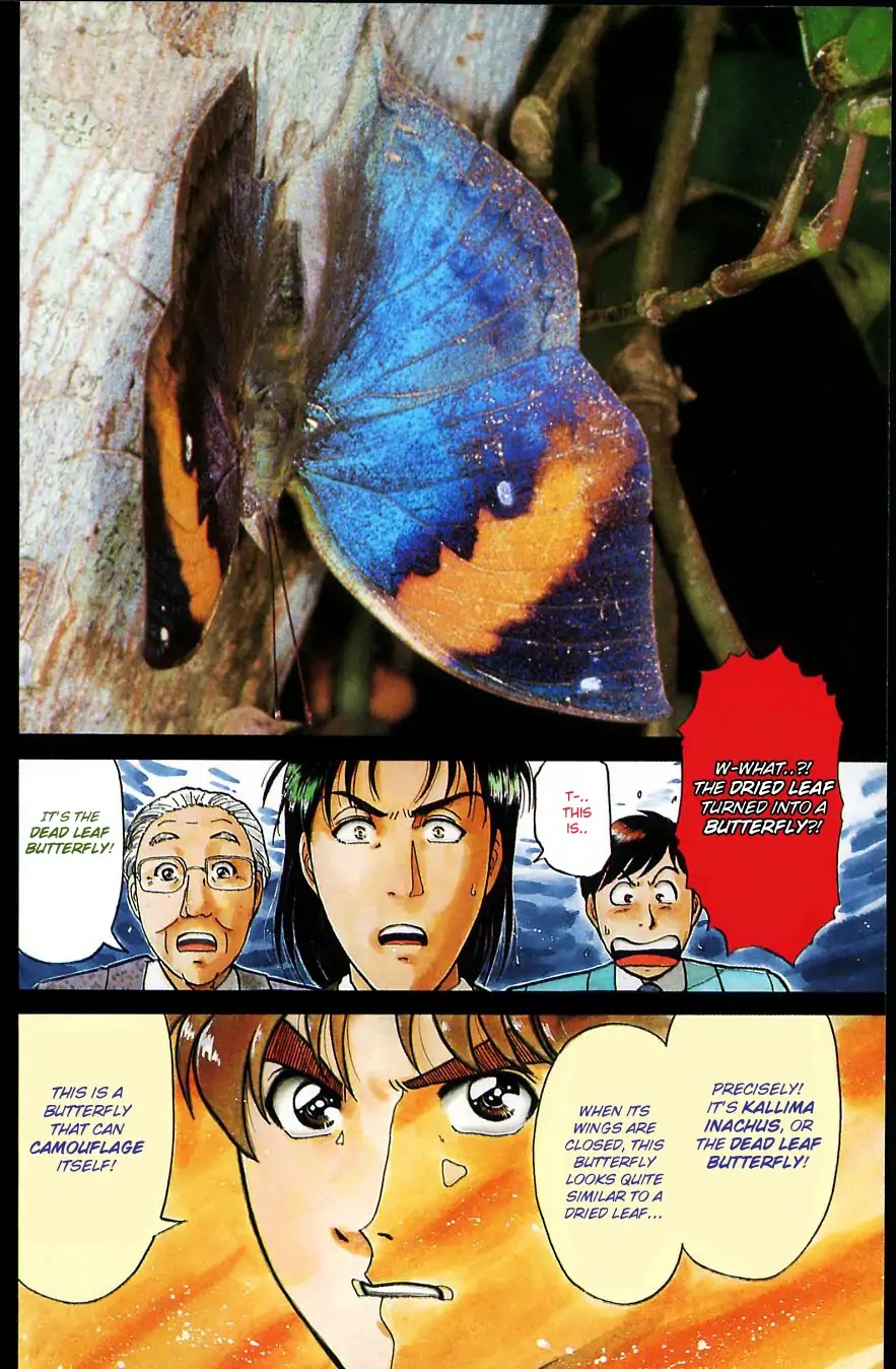 Kindaichi Shounen no Jikenbo Chapter 181 page 11 - Chapter 181: (File 16) Black Butterfly Murder Case (10)
