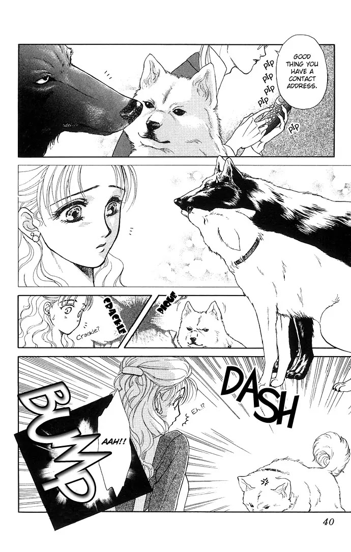 Kindan no Koi wo Shiyou Chapter 2 page 7 - Chapter 2 : Wolven Passion - Wild Love