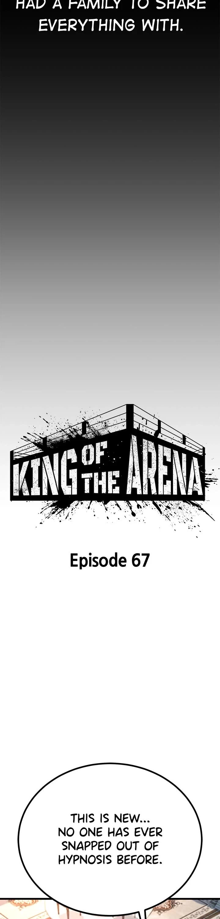 King of Violence Chapter 67 page 22 - Chapter 67: Episode 67