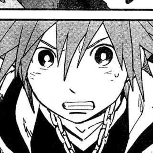 Kingdom Hearts II Chapter 17 : the beast with the stolen heart cover