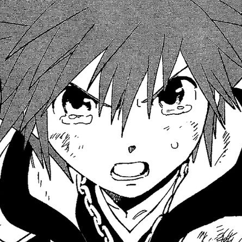 Kingdom Hearts II Chapter 65 : The Reason I Fight cover