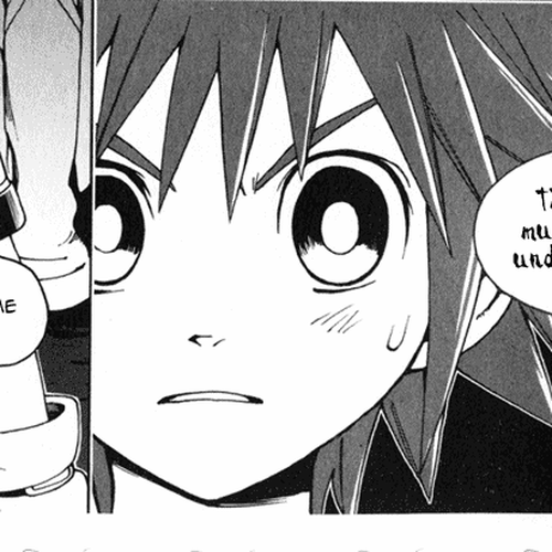 Kingdom Hearts Chapter 2 cover