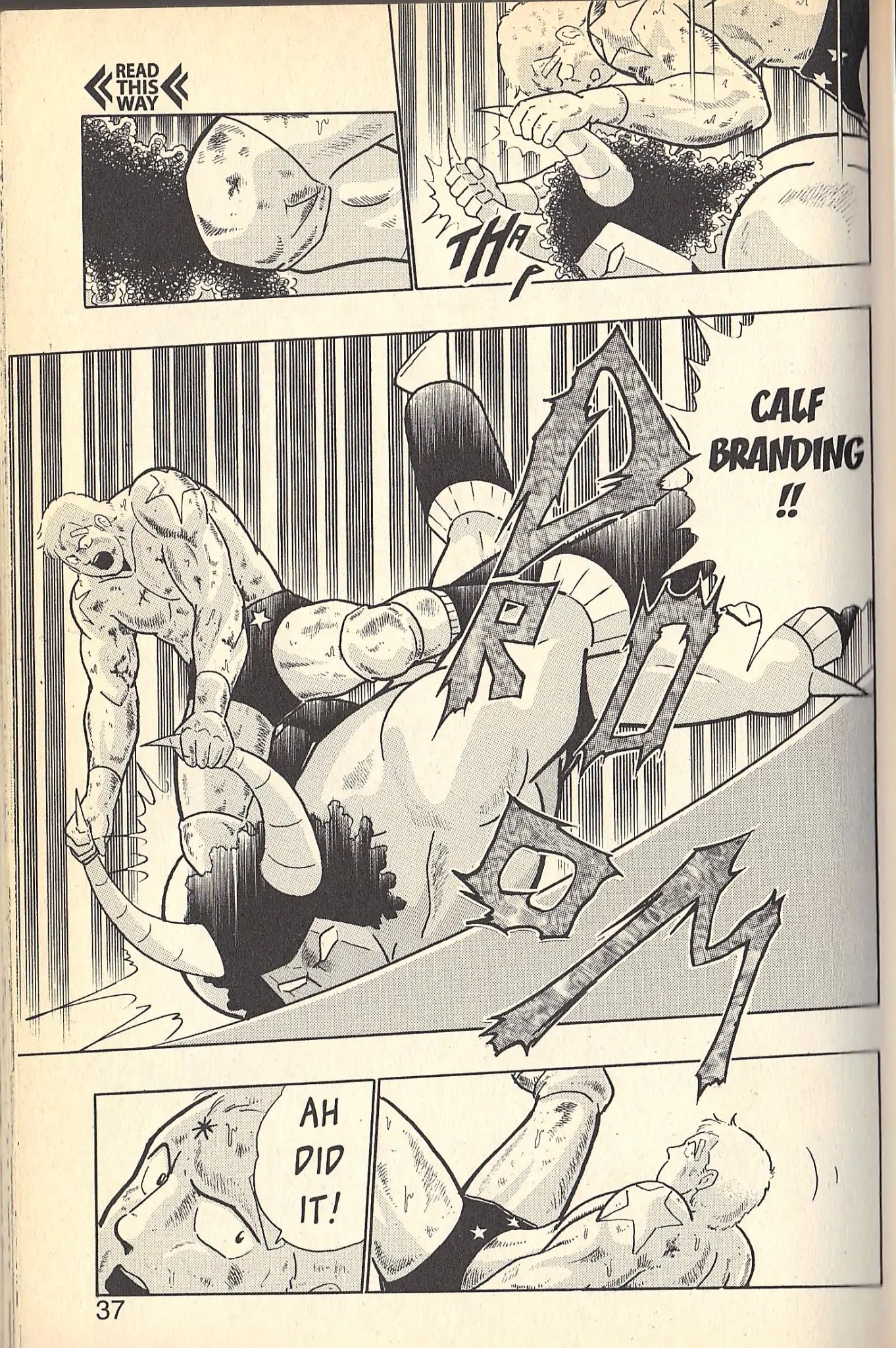 Kinnikuman Nisei Chapter 78.6 page 12 - Vol.9 Special Kinnikuman vs Terryman Part 2