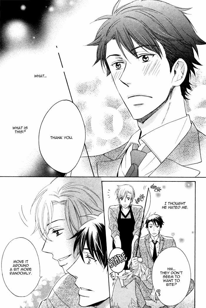 Kirakira no Hibi Chapter 6 page 19 - Chapter 6