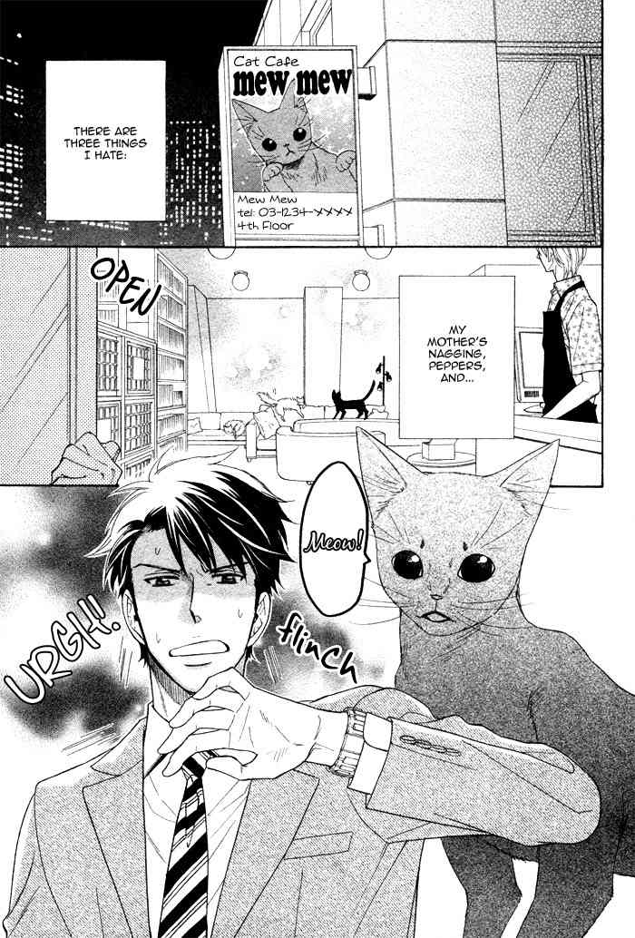 Kirakira no Hibi Chapter 6 page 5 - Chapter 6