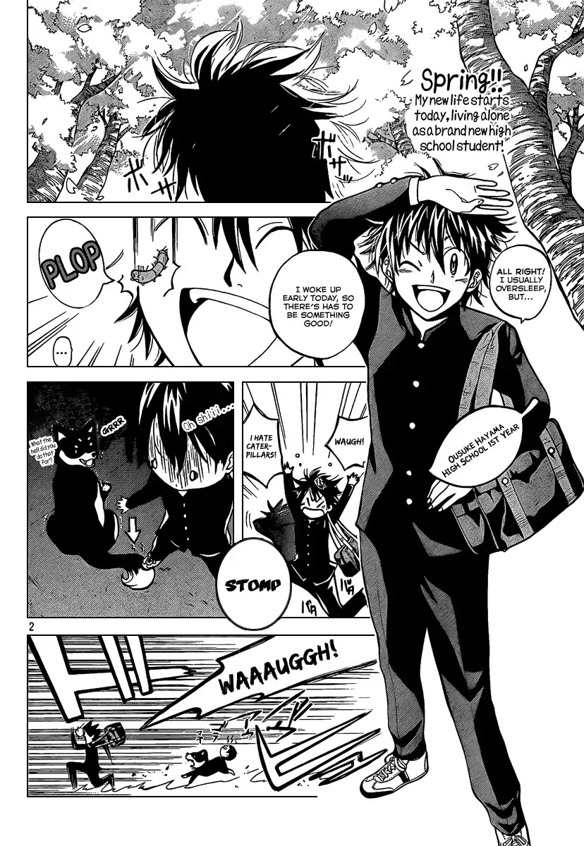 Kitsune no Yomeiri Chapter 1 page 3 - Chapter 1: A Girl Like This Is Your Bride!