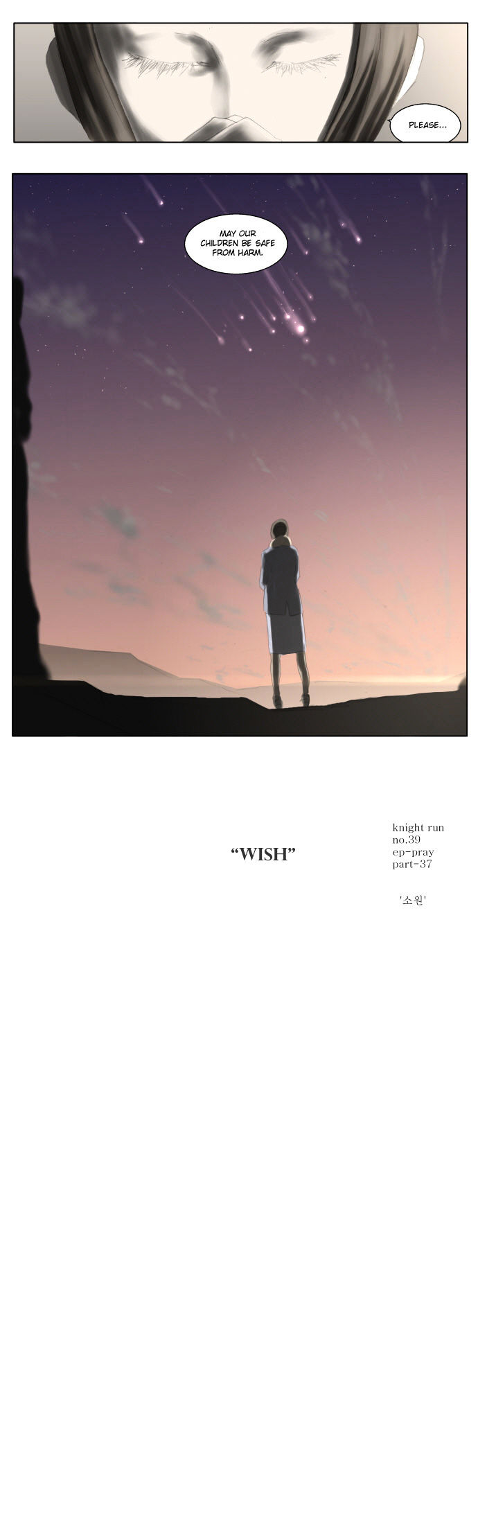 Knight Run Chapter 39 page 19 - Chapter 39: Pray (39) - Wish