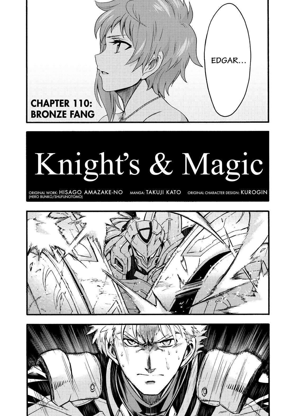 Knights & Magic Chapter 110 page 3 - Chapter 110
