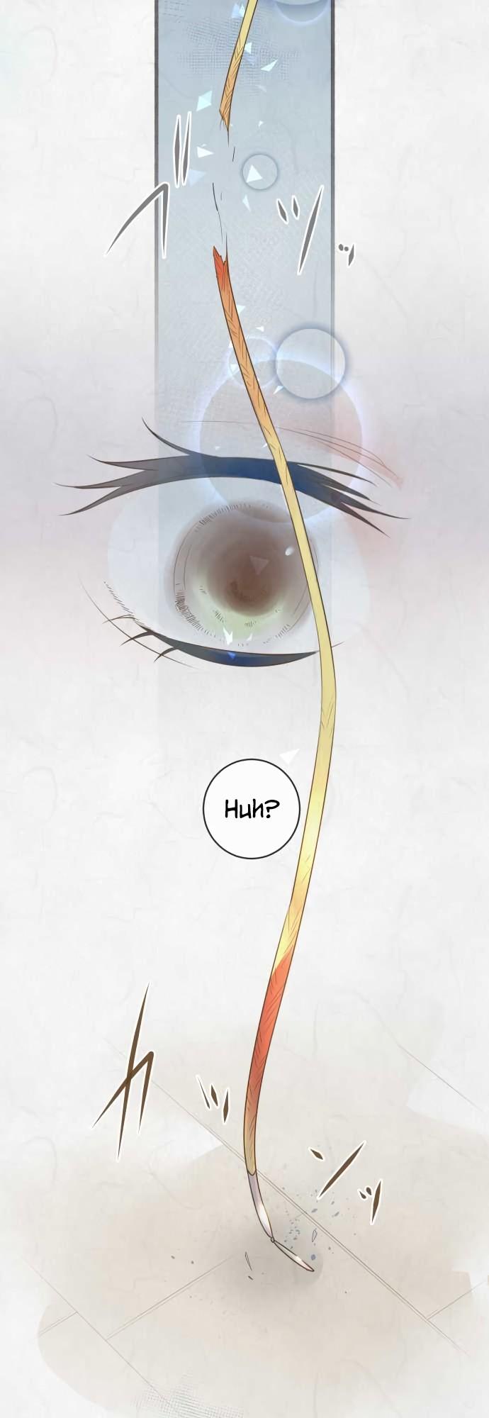 Kochou no Yumeji Chapter 131 page 17 - Chapter 131: Intermission -Part One-