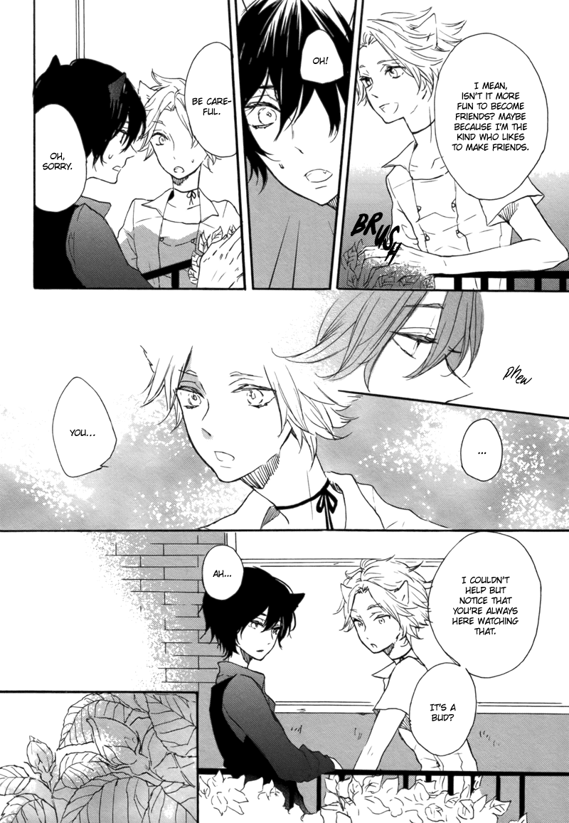 Koi ga Saita Hi Chapter 0.2 page 11 - Chapter 0 v2 : [Oneshot]
