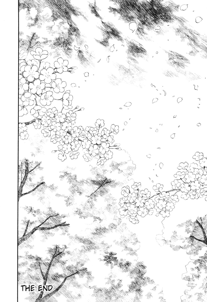 Koi Kaze Chapter 35 page 31 - Chapter 35: And Then, It's Spring Again