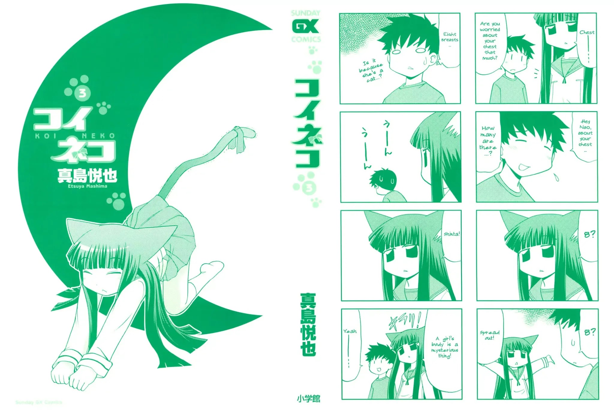 Koi Neko Chapter 20 page 3 - Chapter 20: Let's Fight
