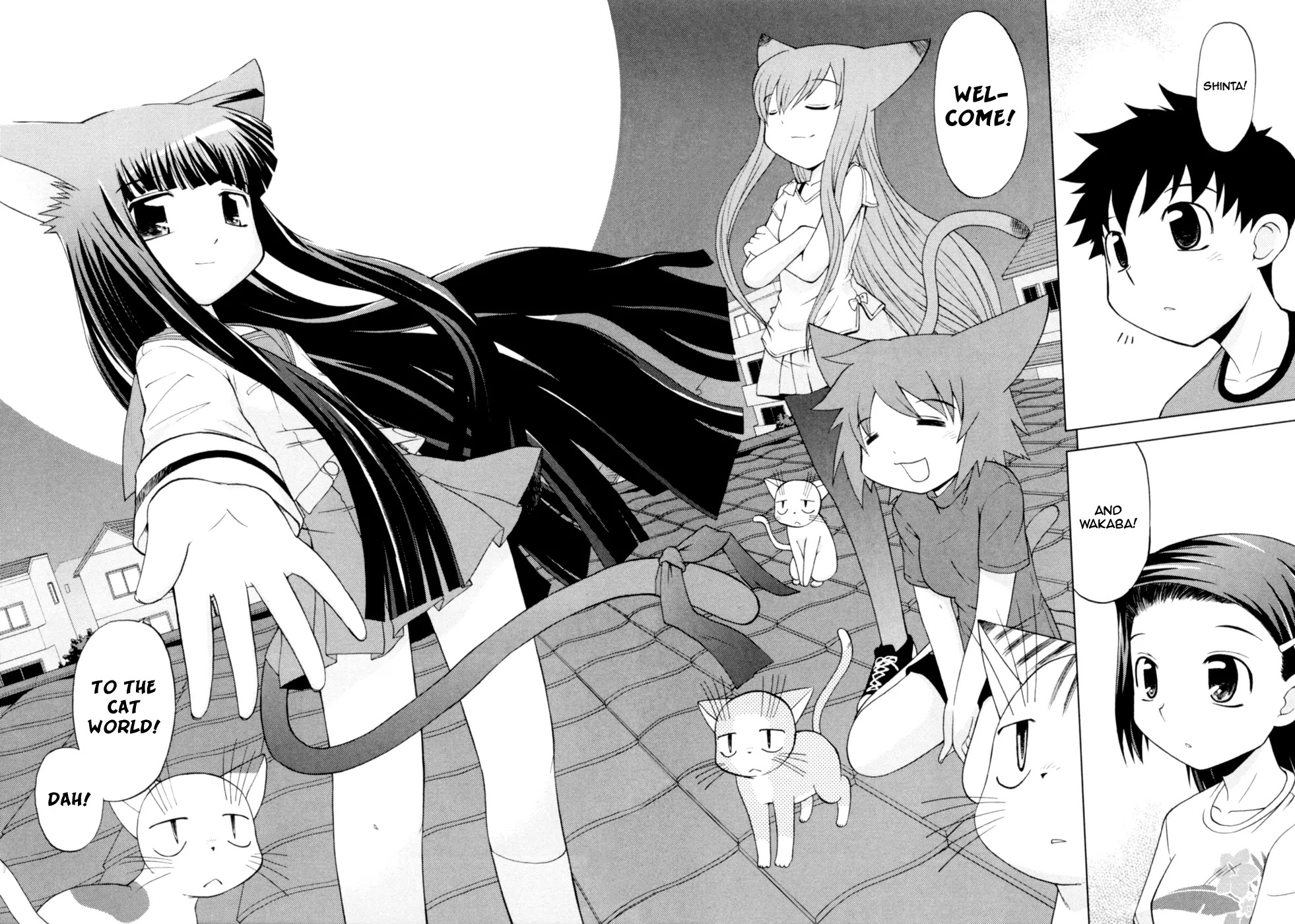Koi Neko Chapter 38 page 23 - Chapter 38: Let's Welcome