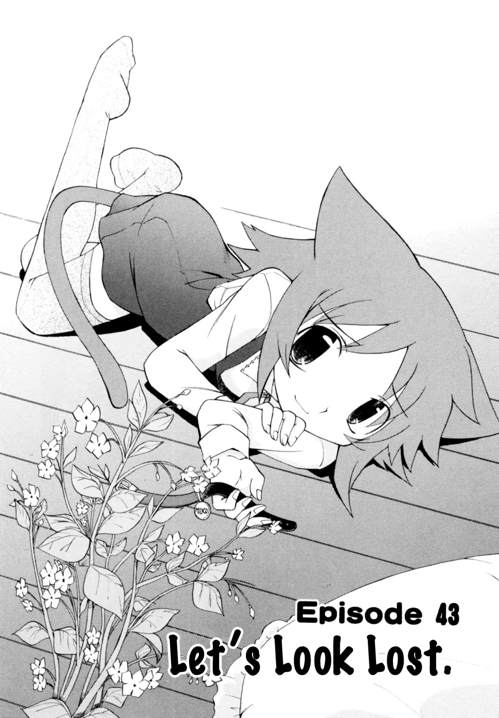 Koi Neko Chapter 43 page 3 - Chapter 43: Let's Look Lost