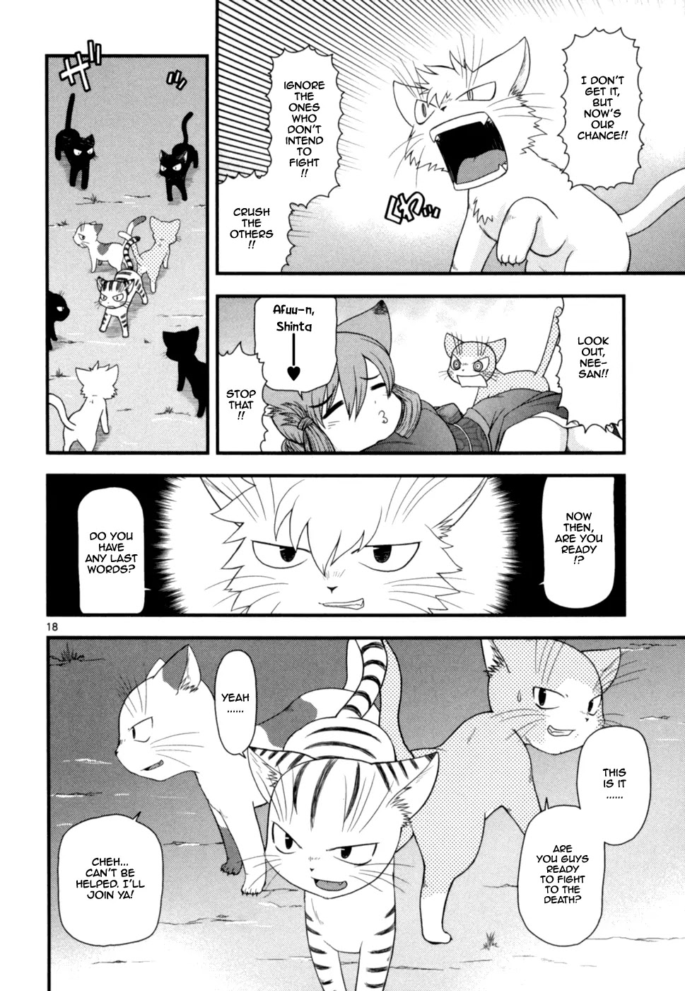 Koi Neko Chapter 51 page 19 - Chapter 51: Let's Feud