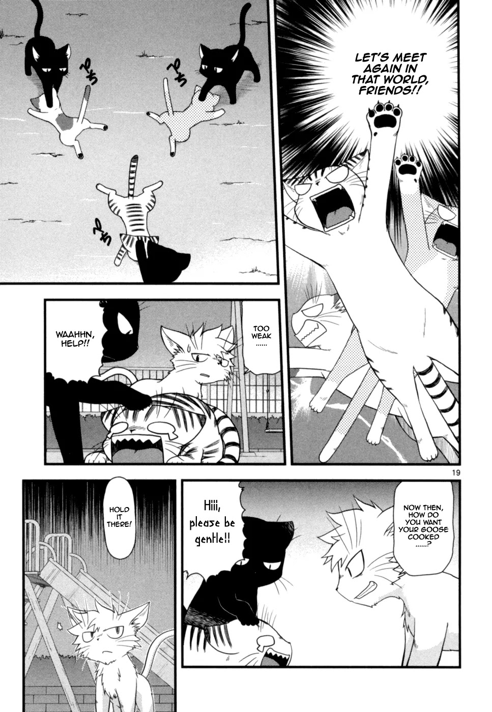 Koi Neko Chapter 51 page 20 - Chapter 51: Let's Feud