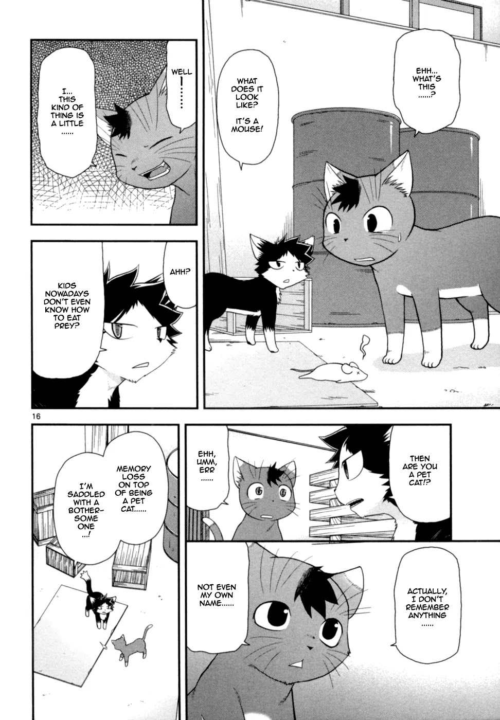 Koi Neko Chapter 66 page 17 - Chapter 66: Let's Invite
