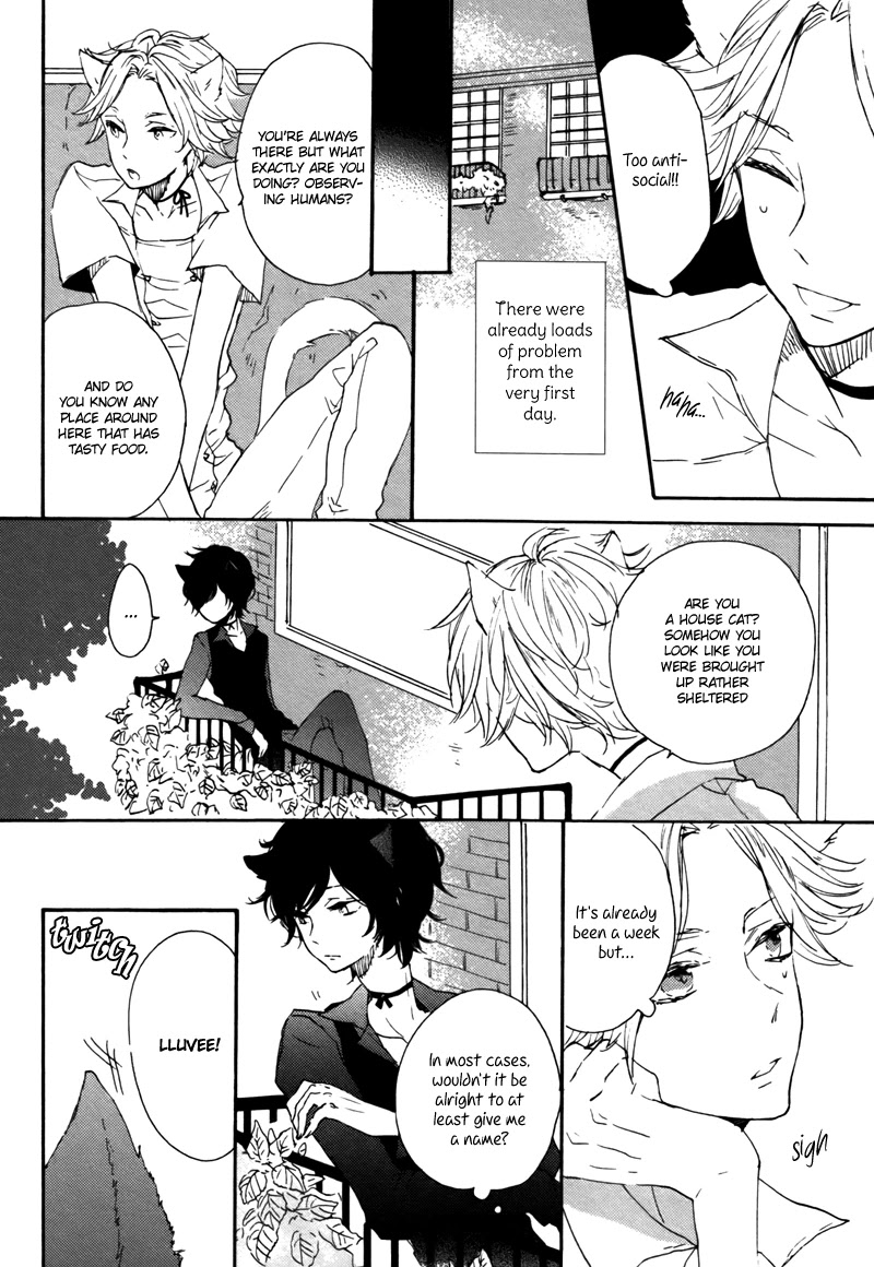 Koi ni Ochite Kudasai Chapter 6 page 7 - Chapter 6: Koi ga Saita Hi [END]