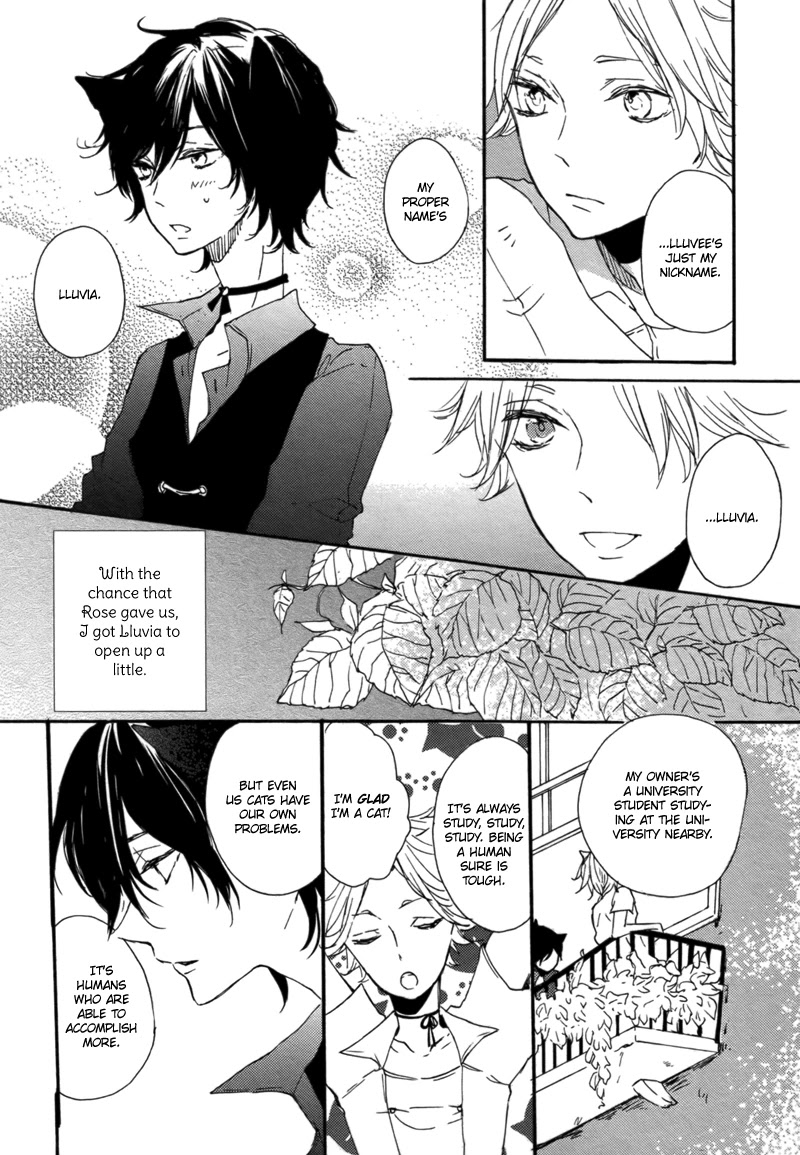 Koi ni Ochite Kudasai Chapter 6 page 9 - Chapter 6: Koi ga Saita Hi [END]