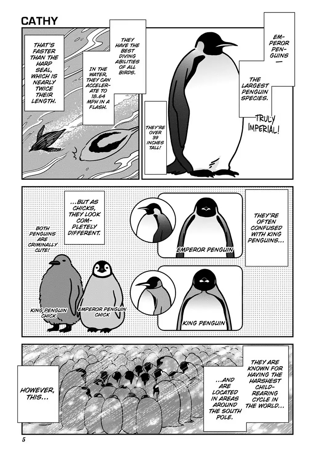 Koi Suru Shirokuma Chapter 14 page 6 - Chapter 14: Vol.3 14: ENTER CATHY