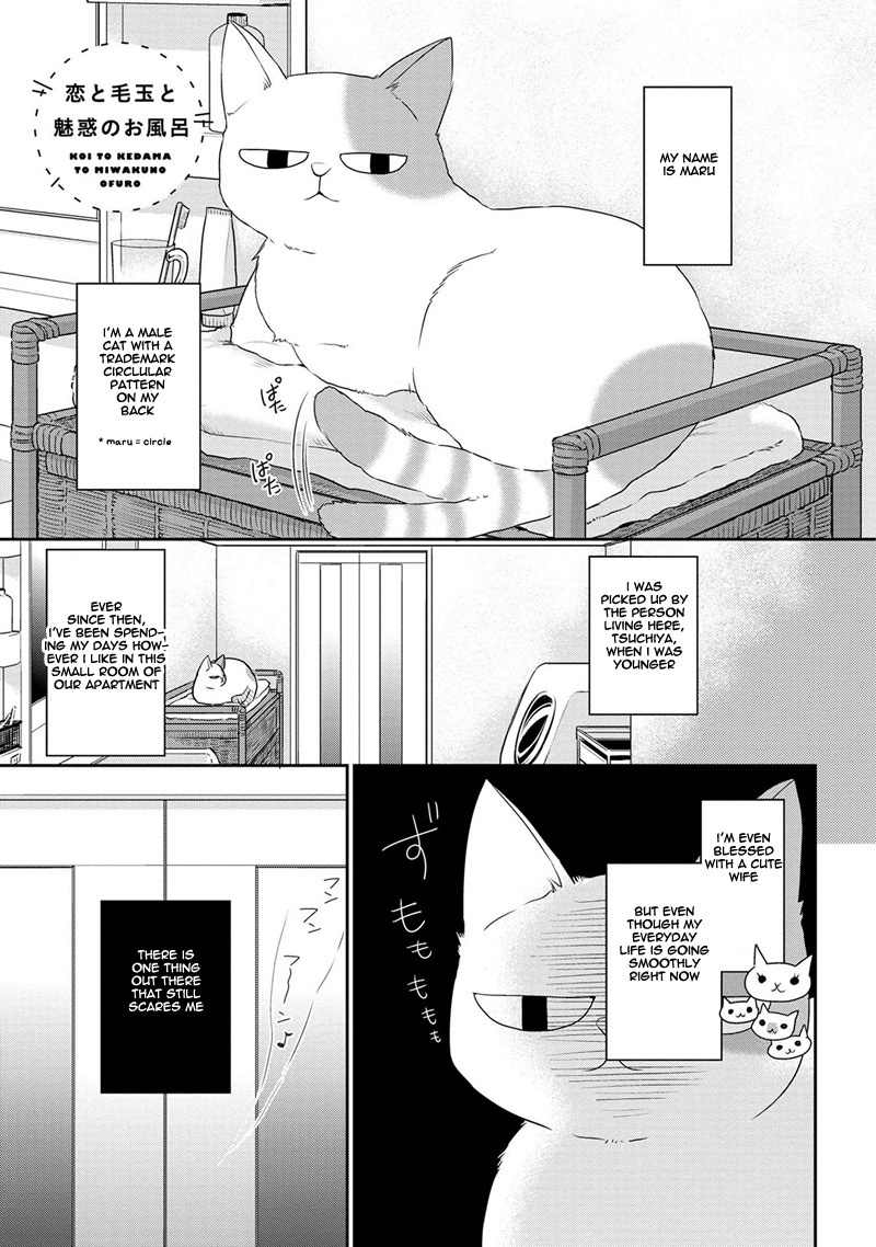 Koi to Kedama to Otonari-san Chapter 3 page 2 - Chapter 3