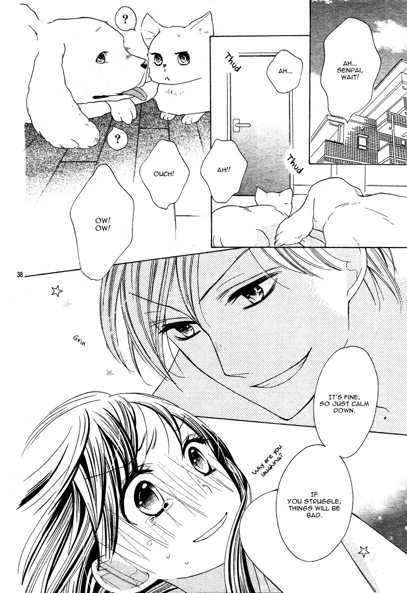 Koi Toka, Kiss Toka, Karada Toka. Chapter 19 page 41 - Chapter 19: Side Story 4 [END]