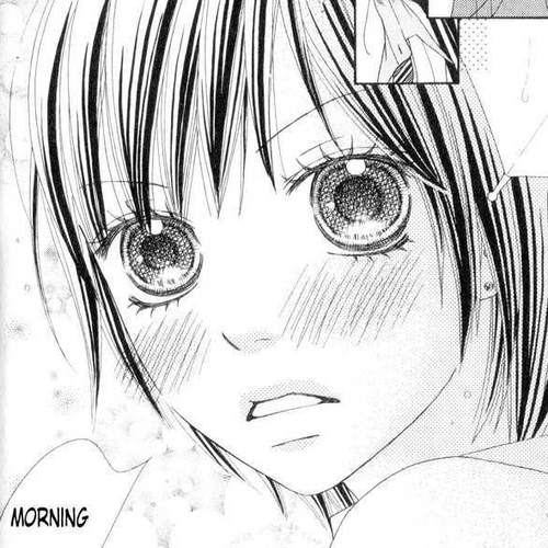 Koibana! Koiseyo Hanabi Chapter 12.5 cover