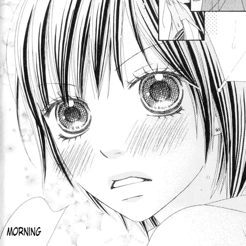 Koibana! Koiseyo Hanabi Chapter 18.5 cover