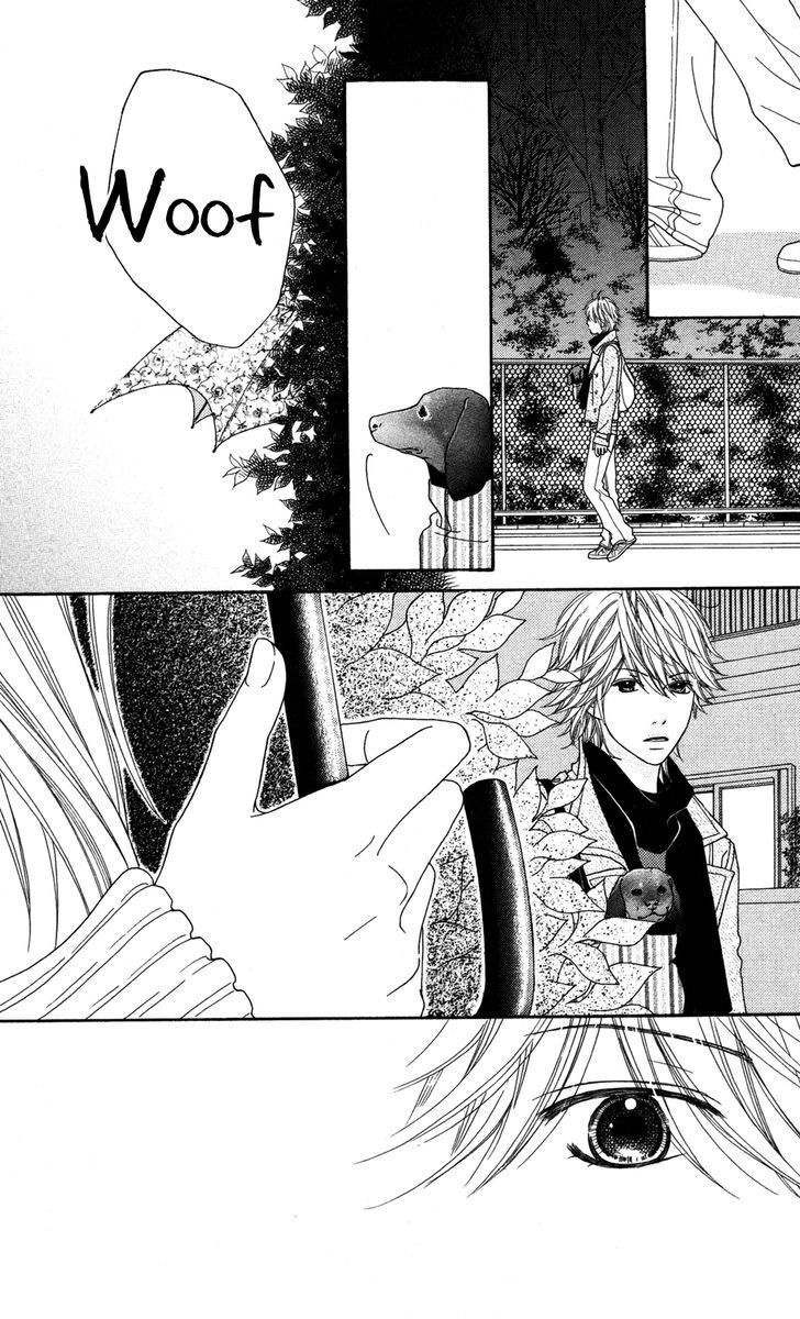 Koibana! Koiseyo Hanabi Chapter 21 page 19 - Chapter 21