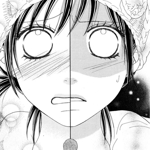 Koibana! Koiseyo Hanabi Chapter 22 cover