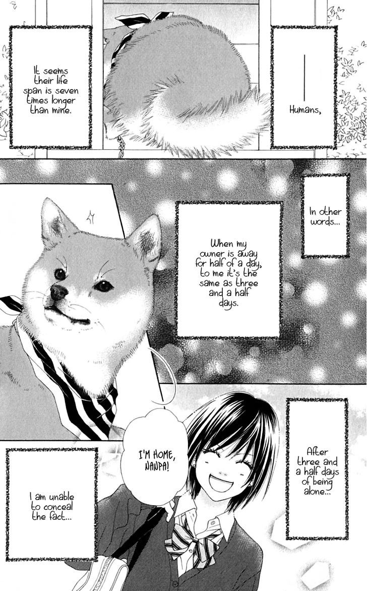 Koibana! Koiseyo Hanabi Chapter 32 page 31 - Chapter 32