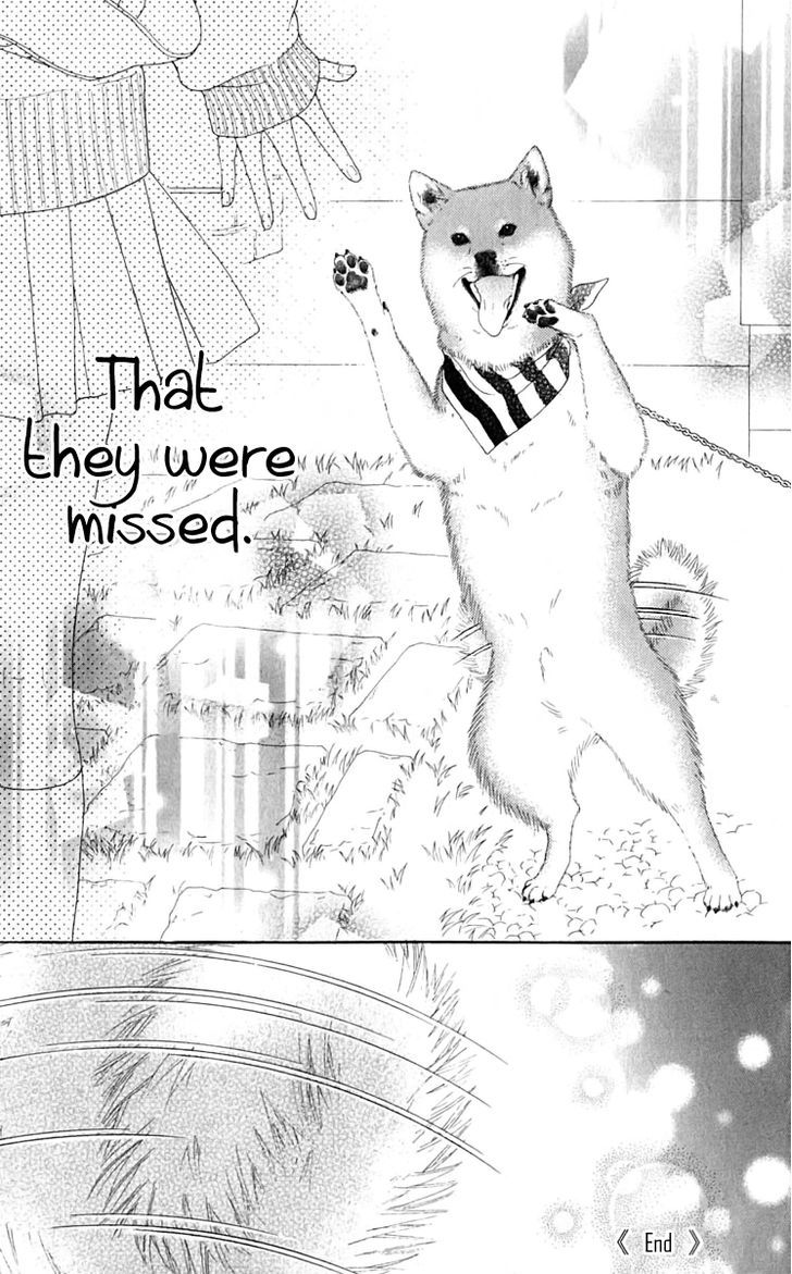 Koibana! Koiseyo Hanabi Chapter 32 page 32 - Chapter 32