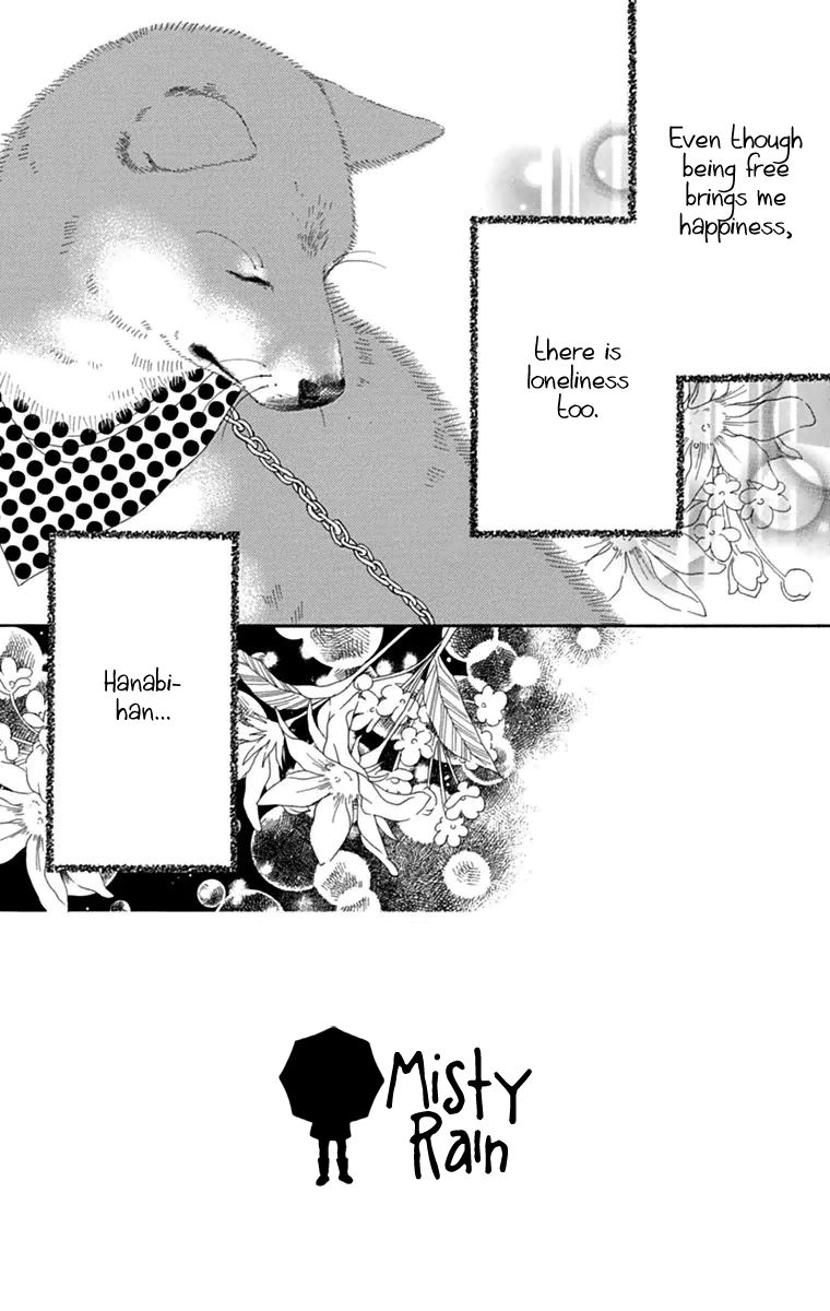 Koibana! Koiseyo Hanabi Chapter 40 page 5 - Chapter 40