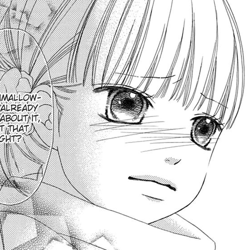 Koibana! Koiseyo Hanabi Chapter 44 cover