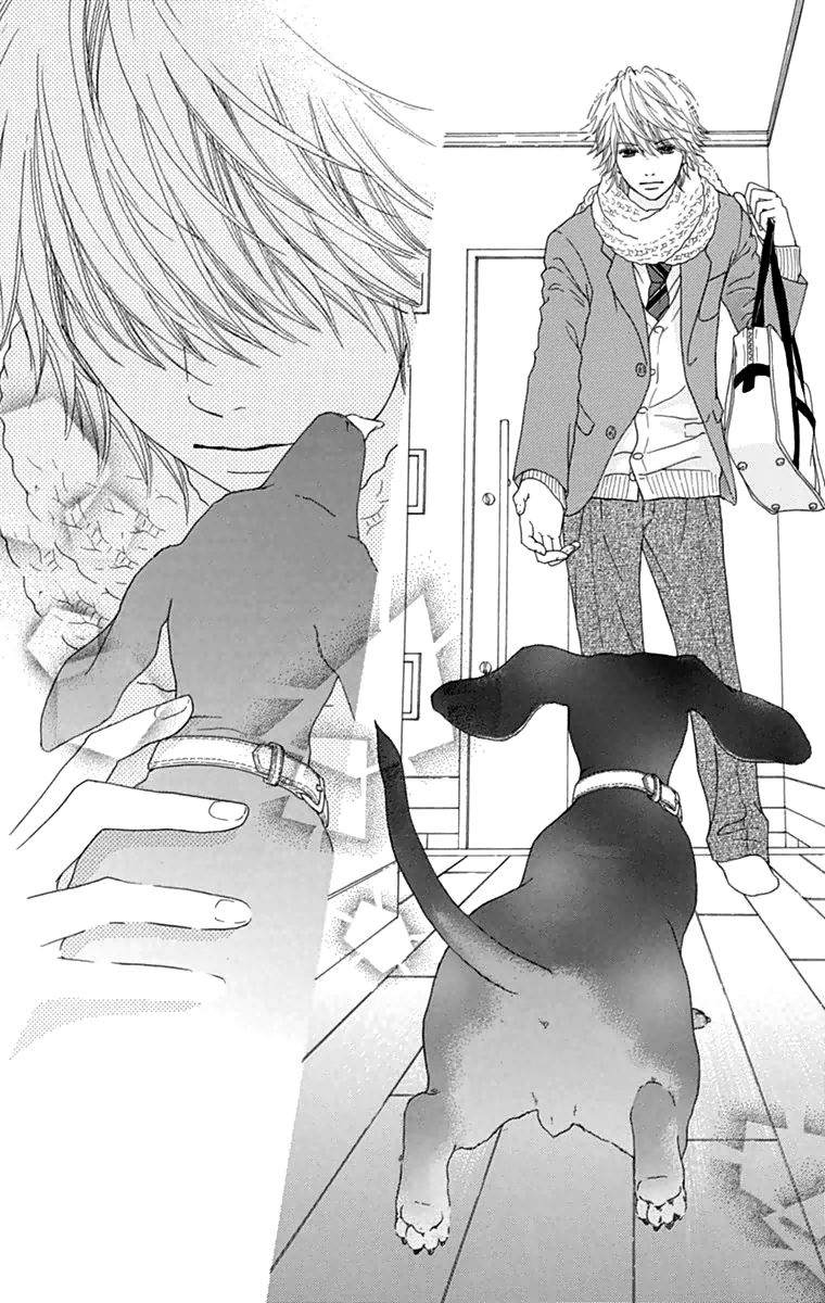 Koibana! Koiseyo Hanabi Chapter 45 page 24 - Chapter 45
