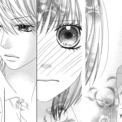Koibana! Koiseyo Hanabi Chapter 49 cover