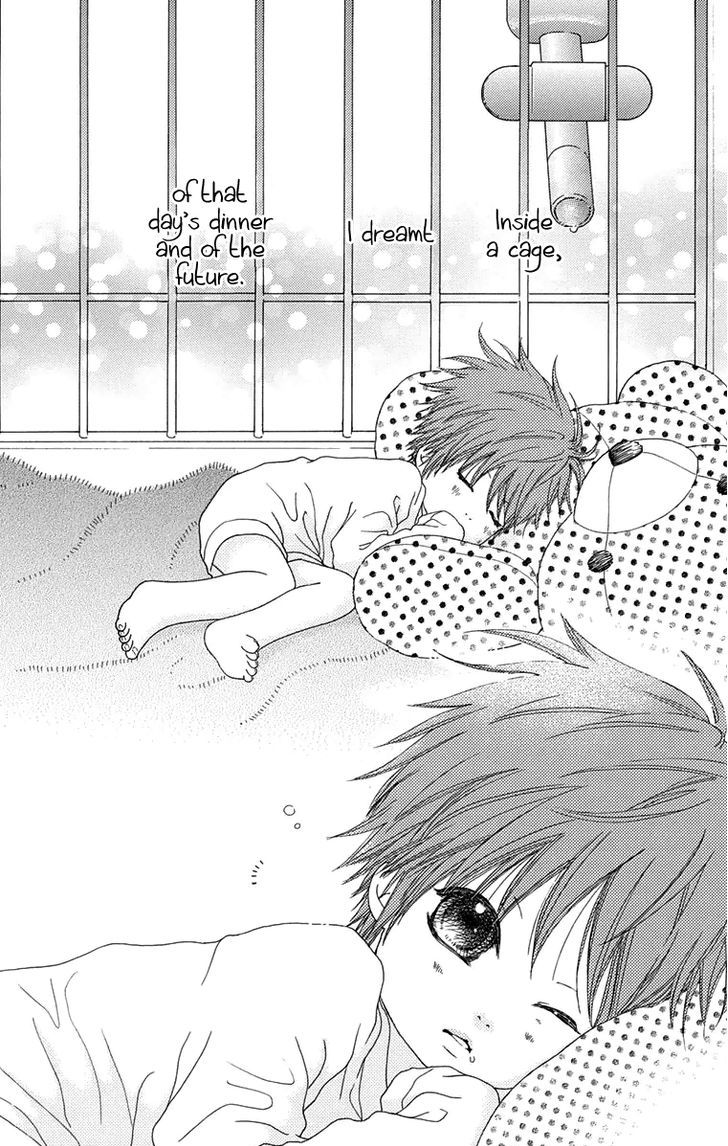 Koibana! Koiseyo Hanabi Chapter 53 page 30 - Chapter 53
