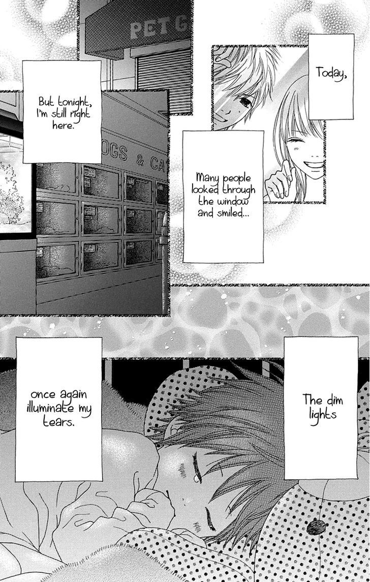 Koibana! Koiseyo Hanabi Chapter 53 page 33 - Chapter 53