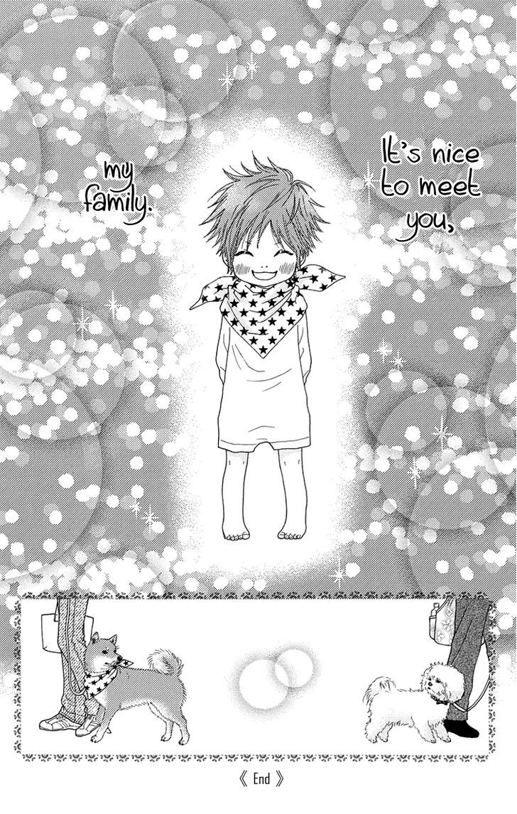 Koibana! Koiseyo Hanabi Chapter 53 page 36 - Chapter 53