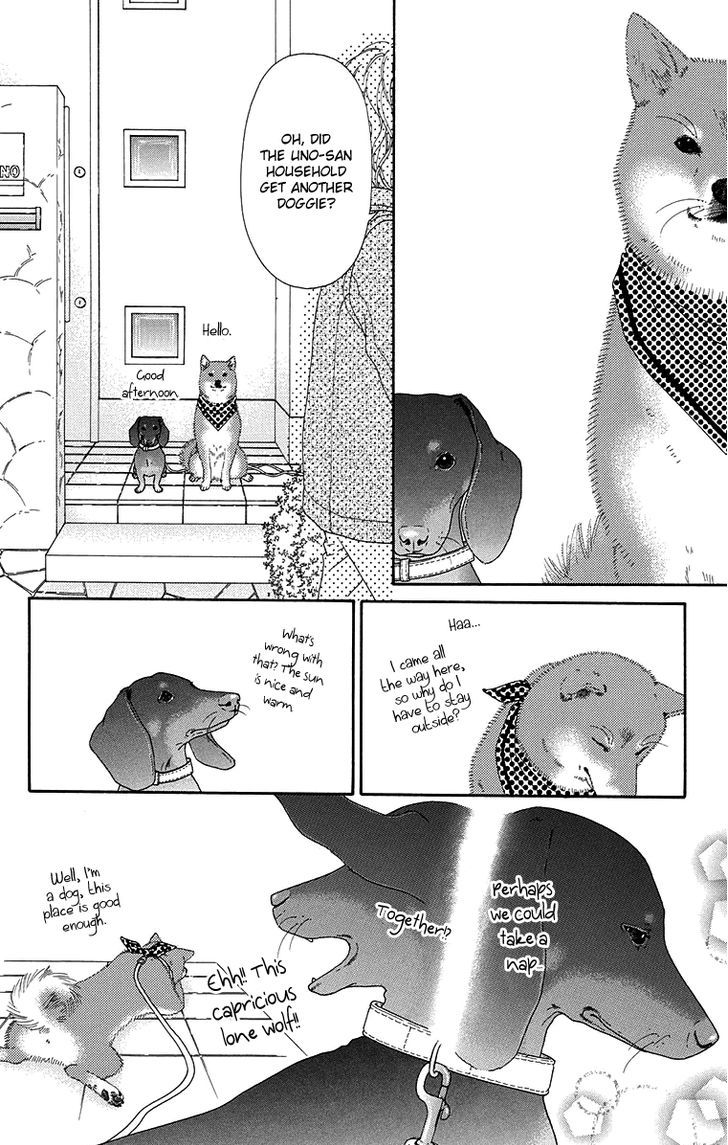 Koibana! Koiseyo Hanabi Chapter 58 page 13 - Chapter 58